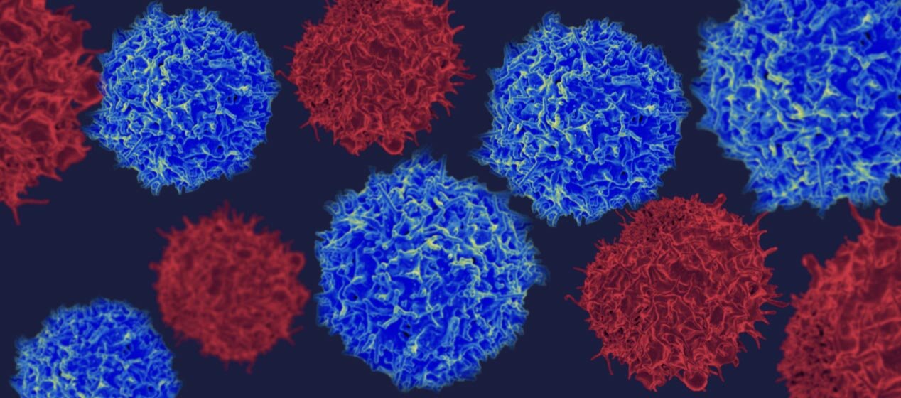 Different sized blue and red cells in front of a dark blue background