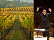 A vineyard scene next to a conductor of an orchestra 