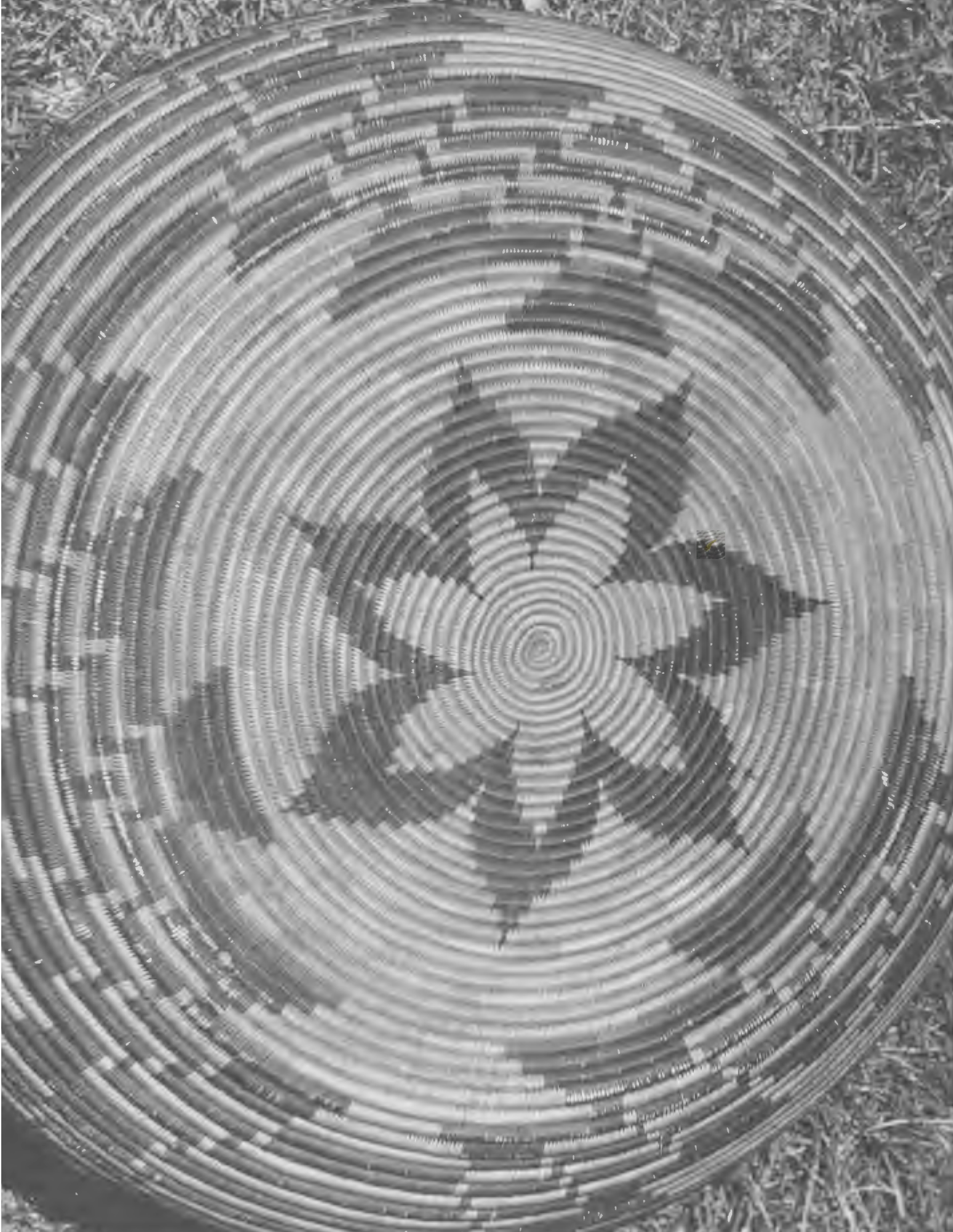 detailed view of Native American basket