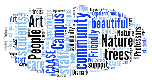 A blue and black word cloud