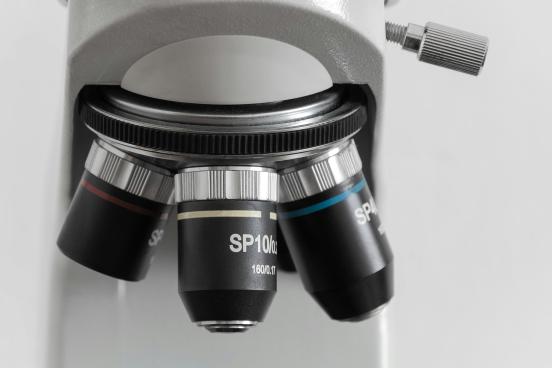 Microscope The lenses of a microscope