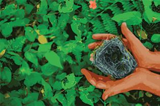 colorful illustration of hand holding birds nest with green foliage in background