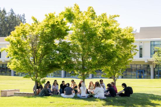 American Multicultural Studies