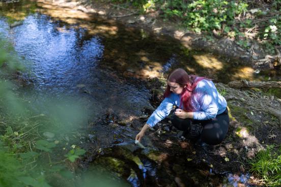Environmental Studies, Geography & Planning