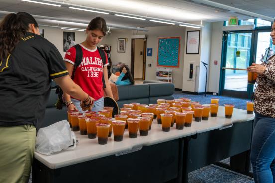 Student looking at a table of drinks
