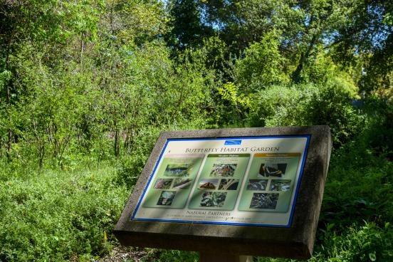 View of SSU Butterfly Garden