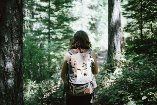 A person walks through the woods
