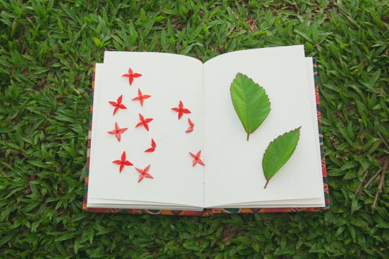 View of a nature journal
