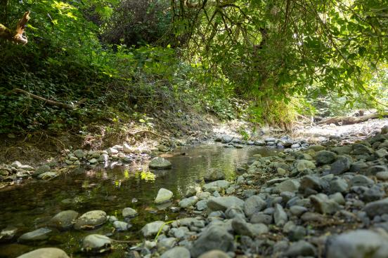 View of a creek