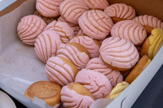 Conchas in a box
