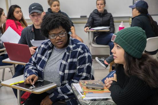 Students studying together