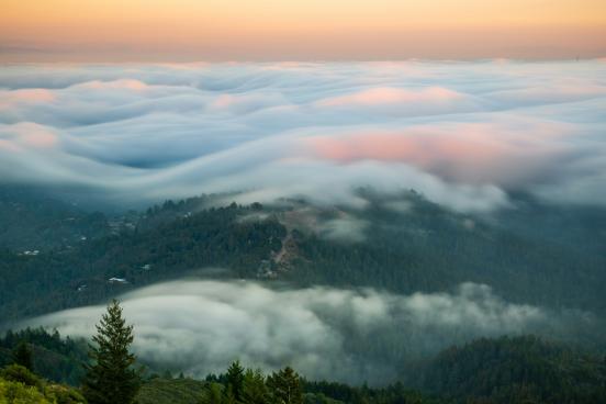 Foggy view of mount tam