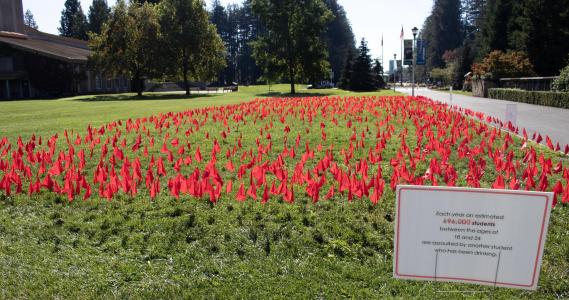 Red flags on an SSU lawn to represent Alcohol Awareness Week