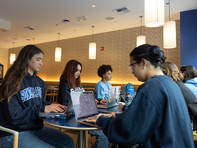 Students working on their laptops in SSU's SIP