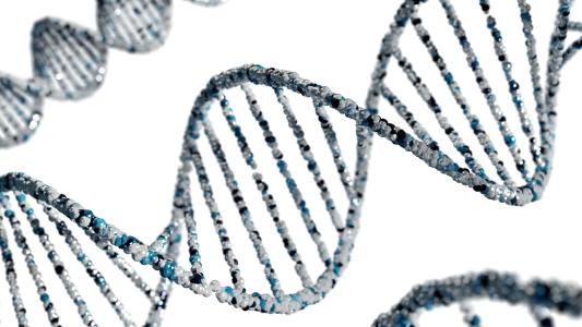 A graphic of a strand of DNA