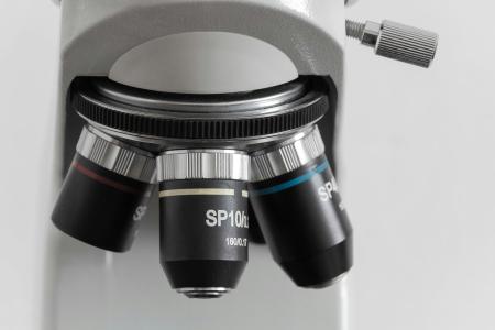 The lenses of a microscope
