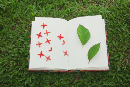 View of a nature journal
