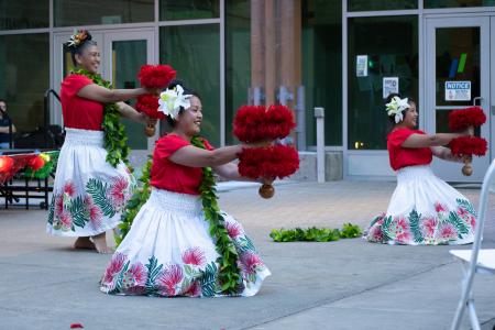 Dancers performing traditional routine