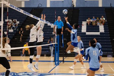 Volleyball game