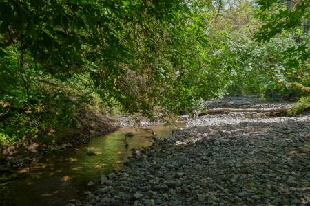 View of a creek