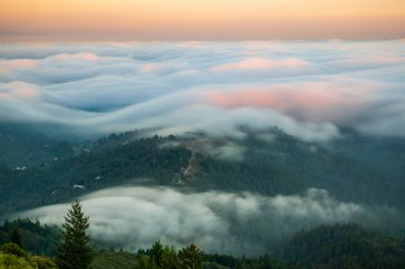 Foggy view of mount tam