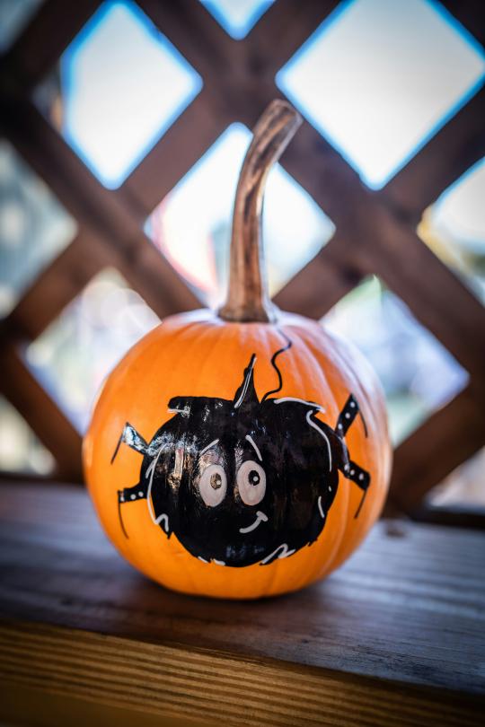 Pumpkin