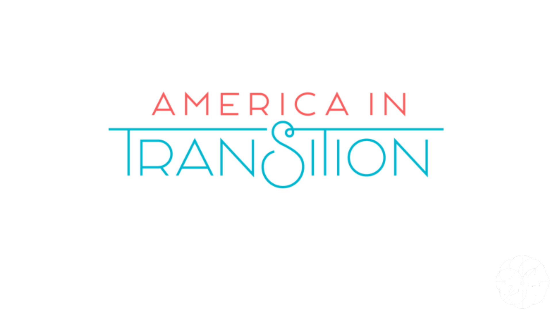 The logo for America in Transition featuring red and teal scripted font