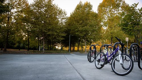 Bicycles outside 