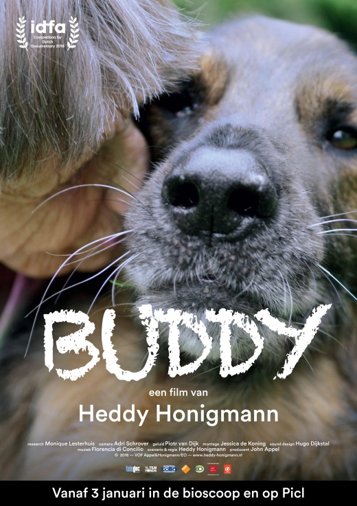 Movie poster for Buddy