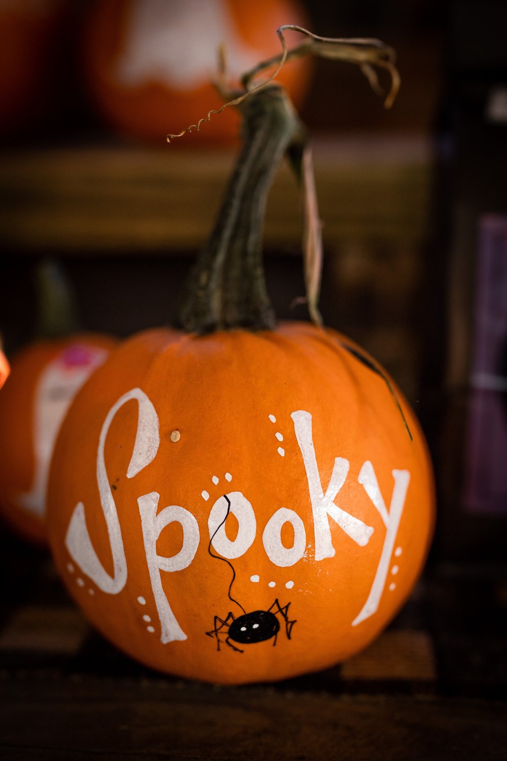 a pumpkin with the word "spooky" painted on it in white paint