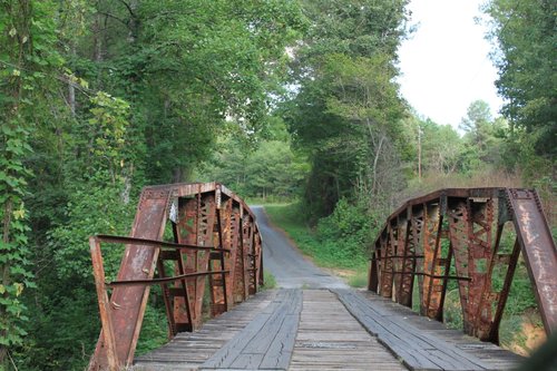 Bridge surrounded by trees