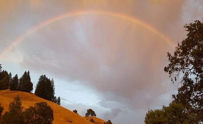 A faint rainbow above some wooded hills and in front of gloomy clouds