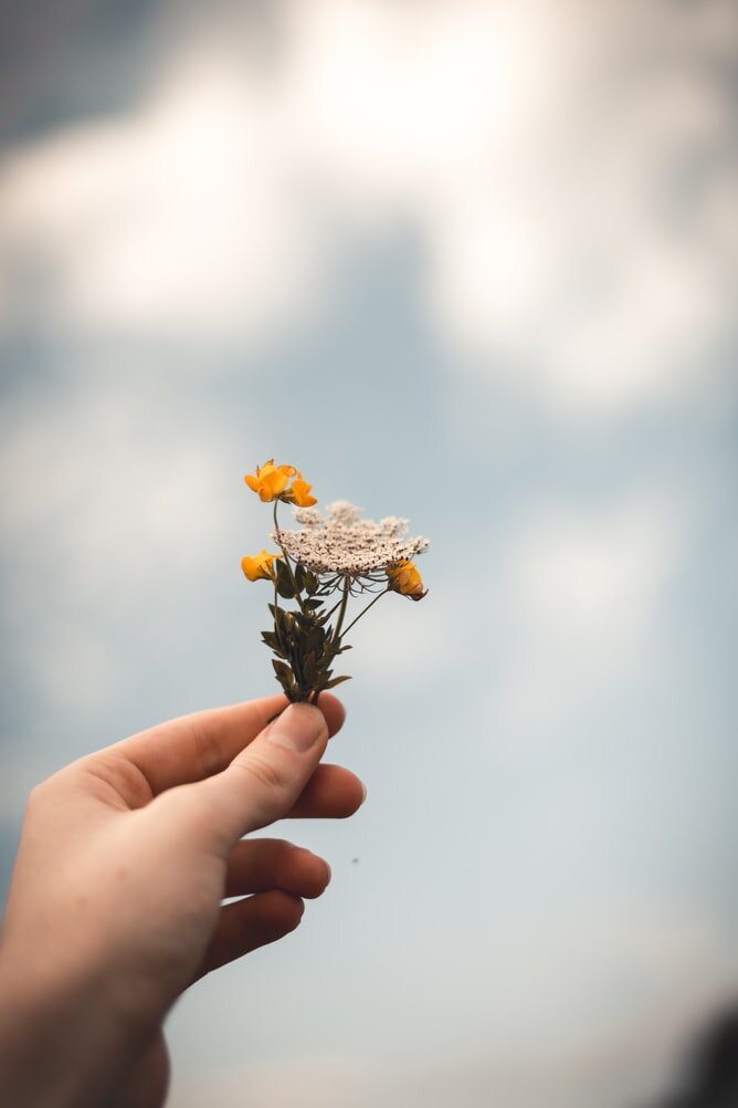 Hand holding a small bunch of colorful flowers with the gloomy sky in the background