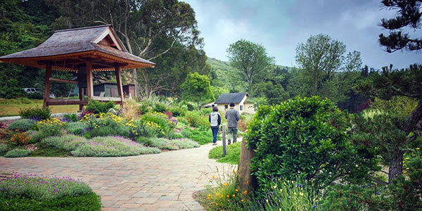 The Green Gulch Farm and Tea Garden featuring people walking on a stone walkways through greenery and architectural structures