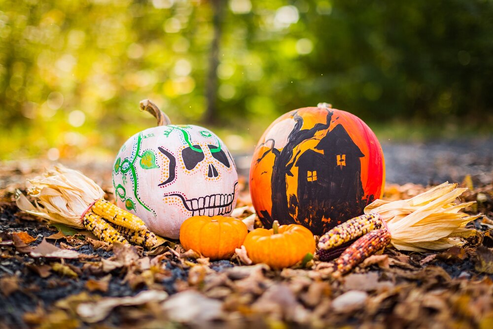 two large painted pumpkins and two little pumpkins on a pile of leaves with four ears of colored corn