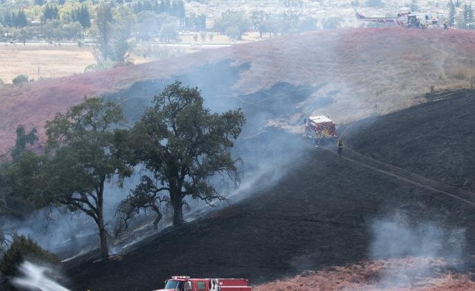 Charred land and trees after a fire