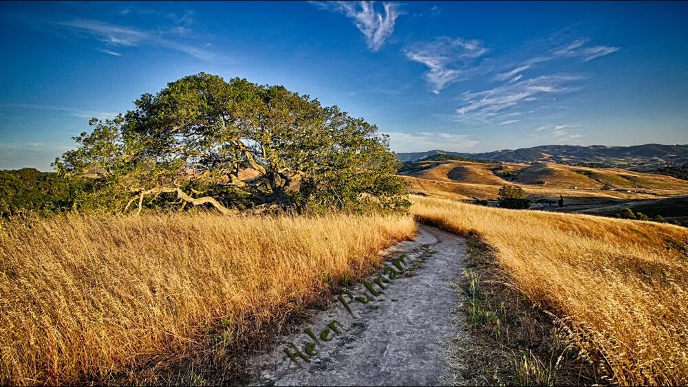 Crane Creek's walking trail surrounded by dry grass, trees and blue skies