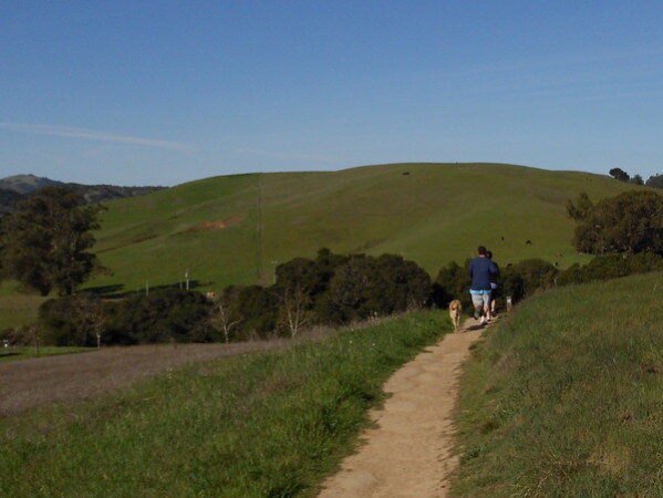 A person walking a dog on a walking trail in Helen Putnam park on a sunny day featuring rolling green hills in the background