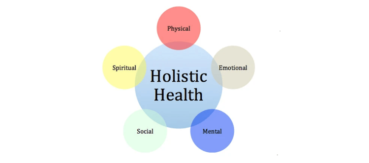 Colorful venn diagram graphic of the five holistic health quadrants 
