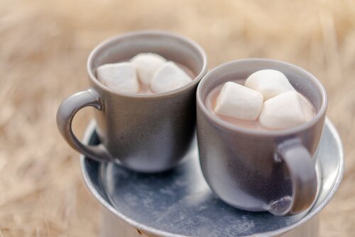 Two mugs of hot chocolate 