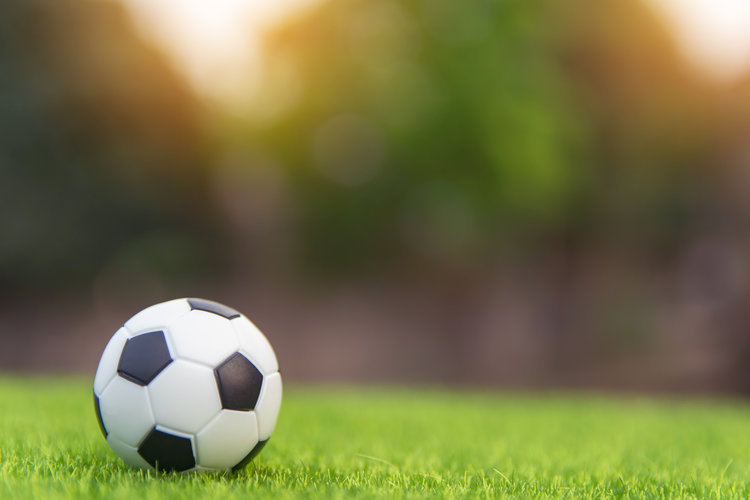 Soccer ball in grassy field