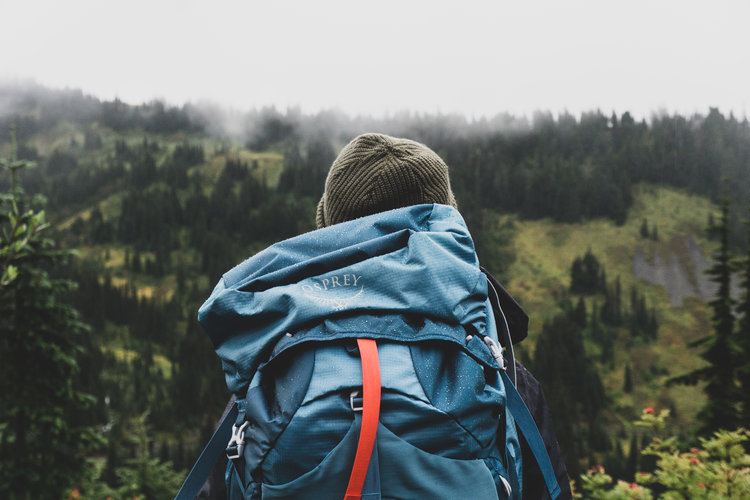 Person wearing blue backpack and green beanie walking into the forest