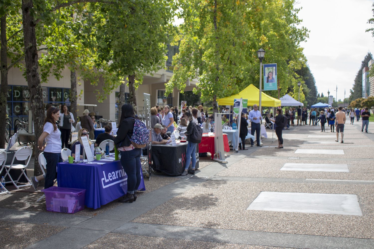 People tabling at an outdoor job fair 