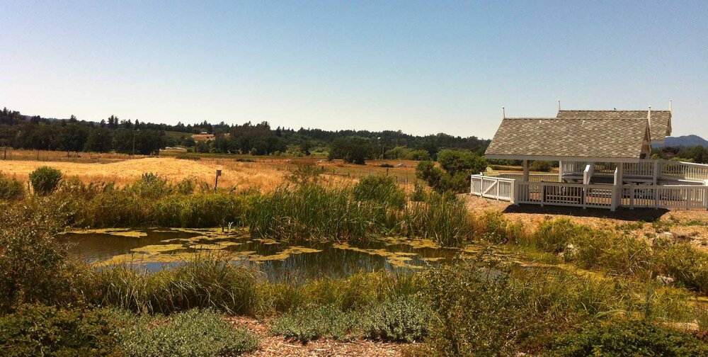 The Laguna de Santa Rosa on a sunny day 