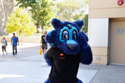 Lobo mascot 