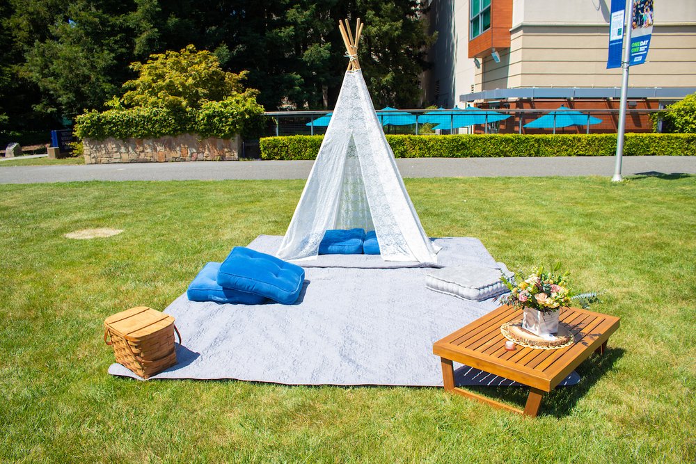 a picnic set up on Person Lawn at Sonoma State University