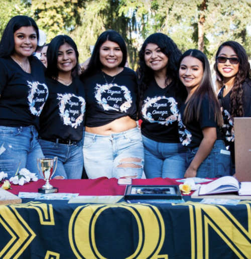 A line of six sorority members smiling while wearing sorority t-shirts