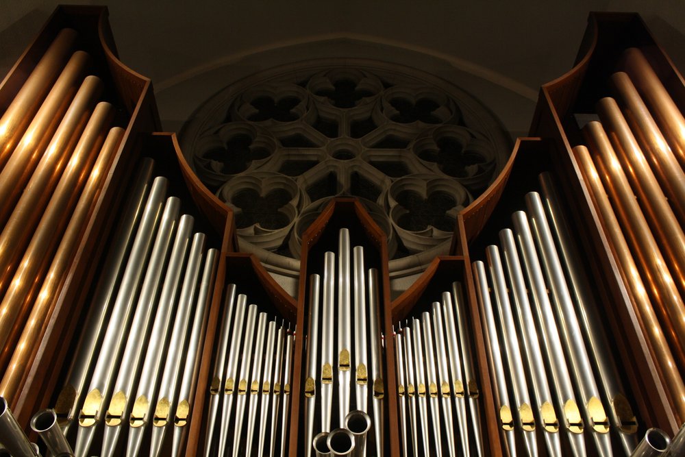 an organ