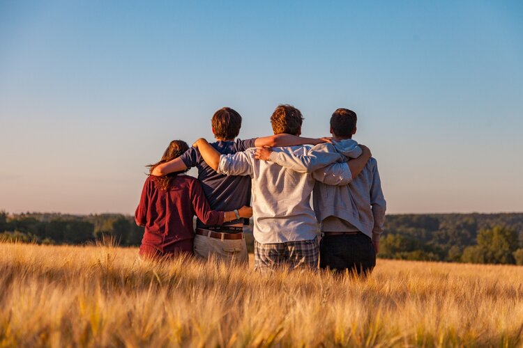 The backs of a group of four people with their arms around each other in a field of tall grass