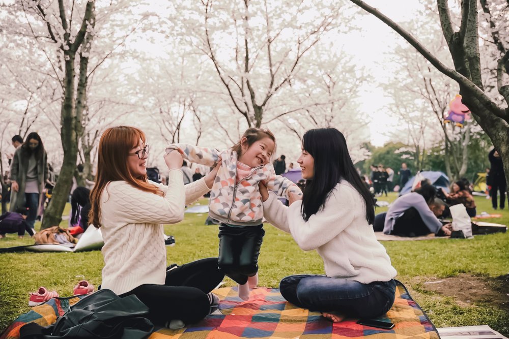 families having picnics under cherry blossom trees